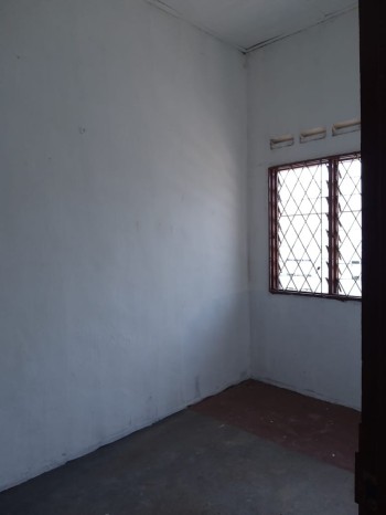Photo #4