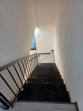 Photo #6