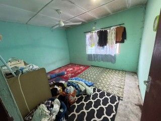 Foto #6
