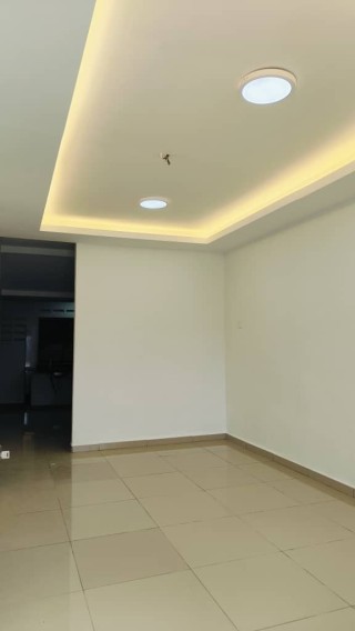 Photo #8