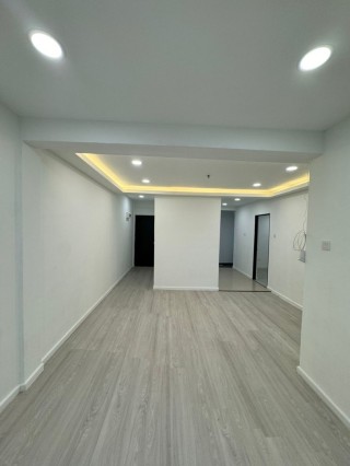 Photo #8