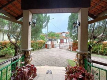 Photo #8