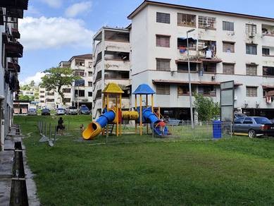 Photo #10