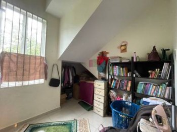 Photo #8
