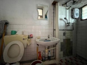 Photo #10