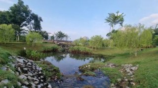 Photo #1
