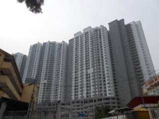 Photo #1