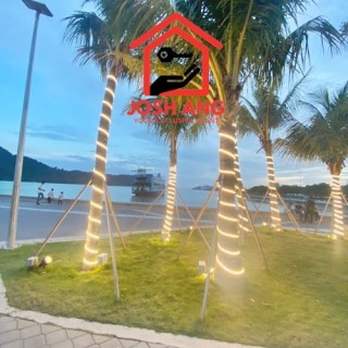 Photo #2