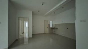 Photo #8