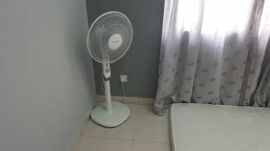 Foto #1