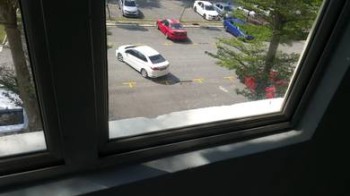 Photo #3