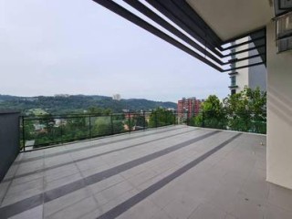 Photo #1