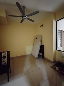 Photo #10