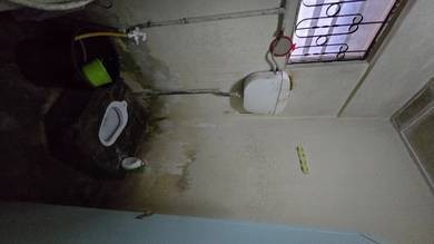 Photo #2