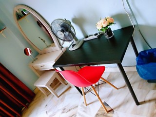 Photo #8
