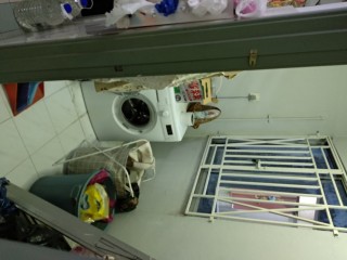 Photo #5