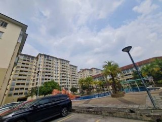 Photo #1
