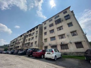 Photo #1