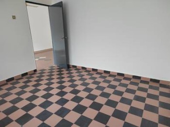 Photo #5
