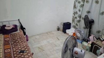 Photo #6