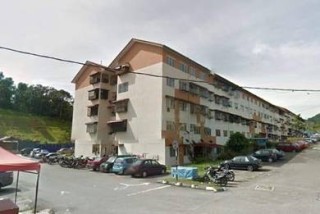 Photo #1