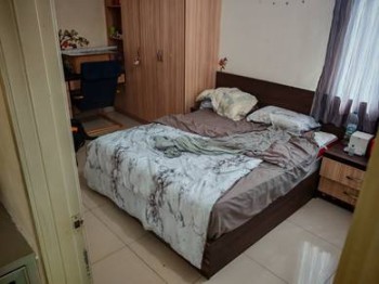 Photo #8