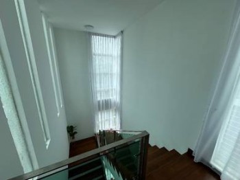 Photo #5
