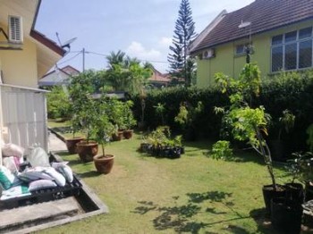Photo #6