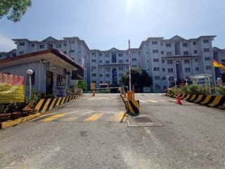 Photo #1