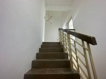 Photo #7