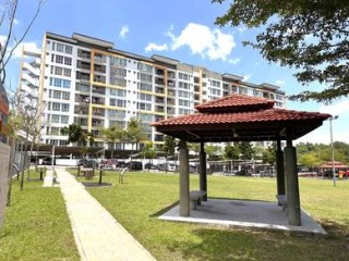 Photo #1
