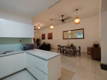 Photo #8