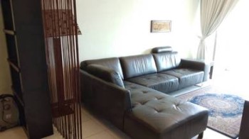 Photo #6