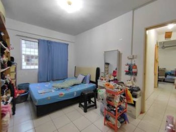 Photo #6