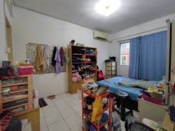 Photo #8