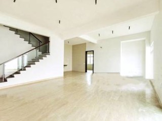 Photo #1