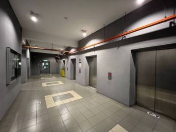 Photo #6