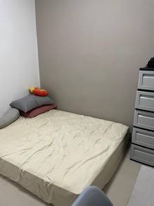 Photo #8