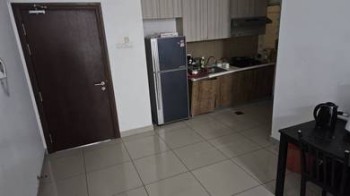 Photo #8
