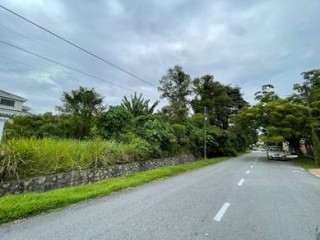 Photo #1