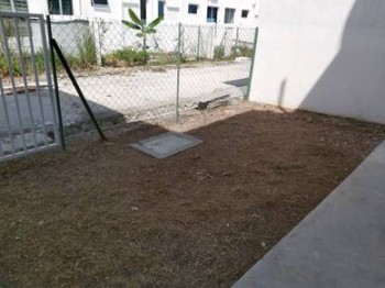 Photo #2
