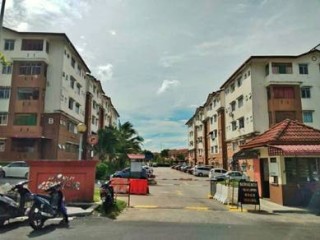 Photo #1