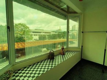 Photo #10