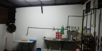 Photo #3
