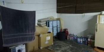 Photo #8