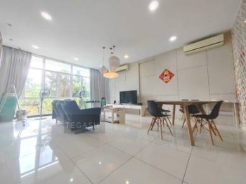 Photo #7