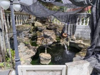 Photo #7