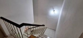 Photo #5