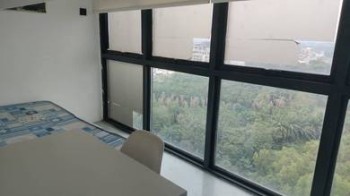 Photo #7