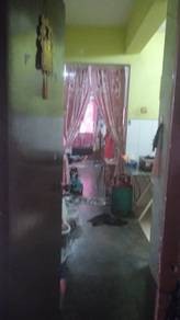 Photo #8